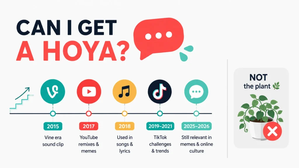 Can I Get a Hoya